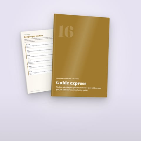 Guide express