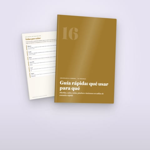 Regalo 2 — Guía rápida: qué usar para qué