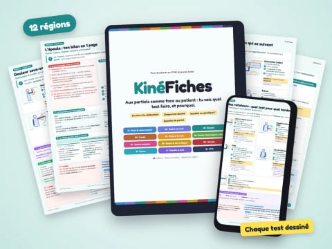 KinéFiches — 12 régions en fiches visuelles, du bilan à la rééducation