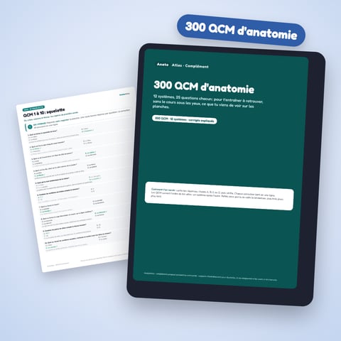 300 QCM d'anatomie pour vérifier ce que tu sais vraiment