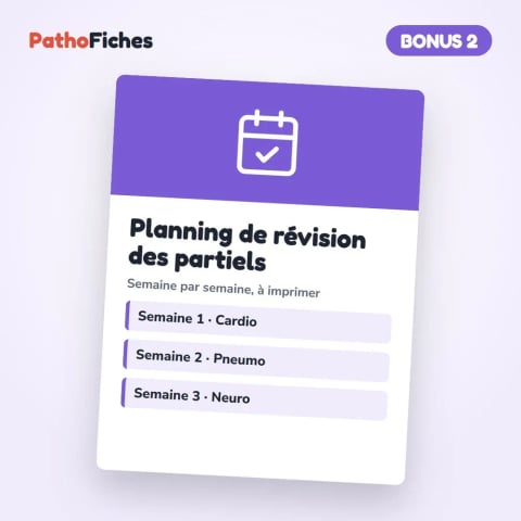 Planning de révision pour ne plus tout revoir la veille