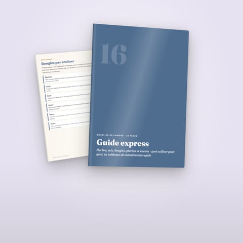 Guide express