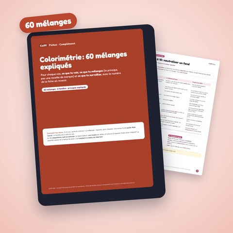 Colorimétrie : 60 mélanges expliqués