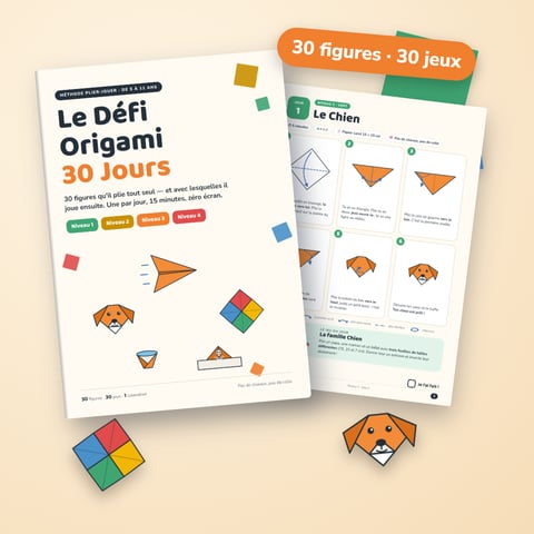 Le Défi Origami 30 Jours