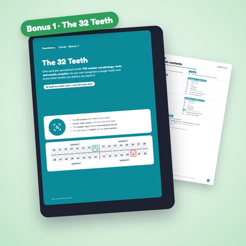 Bonus 1 · The 32 Teeth