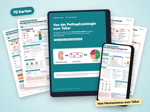 Diätetik-Karten — 70 Lernkarten therapeutische Diätetik