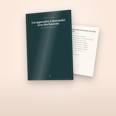 Lui apprendre à demander avec des boutons