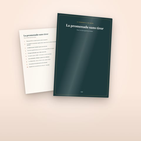 La promenade sans tirer