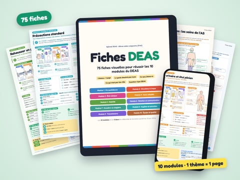 Fiches DEAS — 75 fiches visuelles pour réussir les 10 modules du DEAS