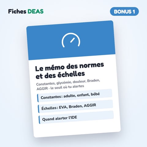 Bonus 1 · Le mémo des normes et des échelles