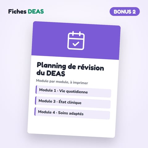 Bonus 2 · Planning de révision du DEAS
