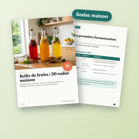 Kéfir de fruits : 30 sodas maison