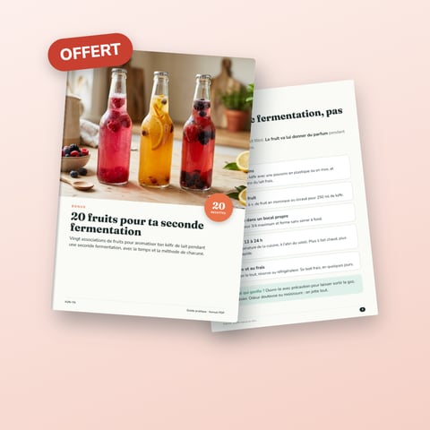 20 fruits pour ta seconde fermentation