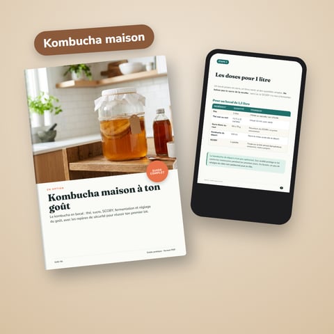 Kombucha maison à ton goût