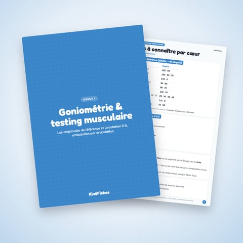 Bonus 1 — Goniométrie & testing musculaire