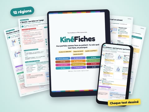 KinéFiches — 12 régions en fiches visuelles, du bilan à la rééducation