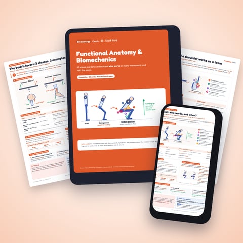 Kinesiology Cards