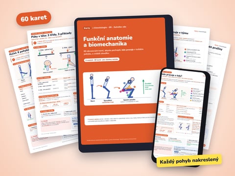 Karty z kineziologie