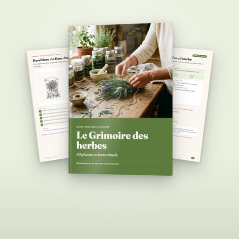 Le Grimoire des herbes : 50 plantes et leurs rituels
