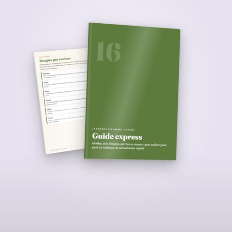 Guide express