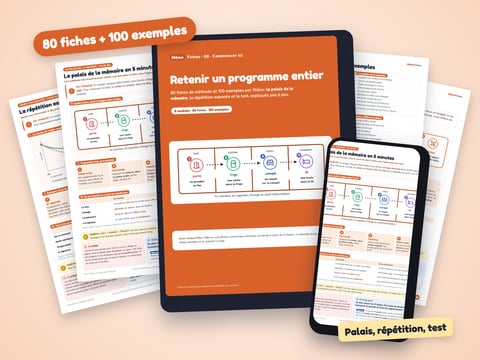 MémoFiches – 80 fiches de méthode et 100 exemples par filière