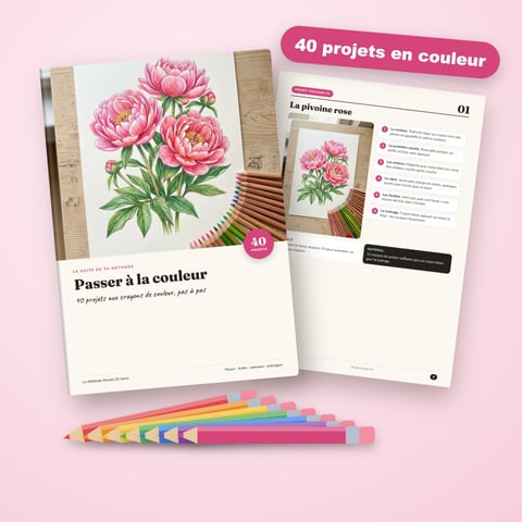Passer à la couleur : 40 projets aux crayons de couleur