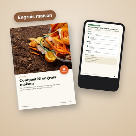 Compost & engrais maison