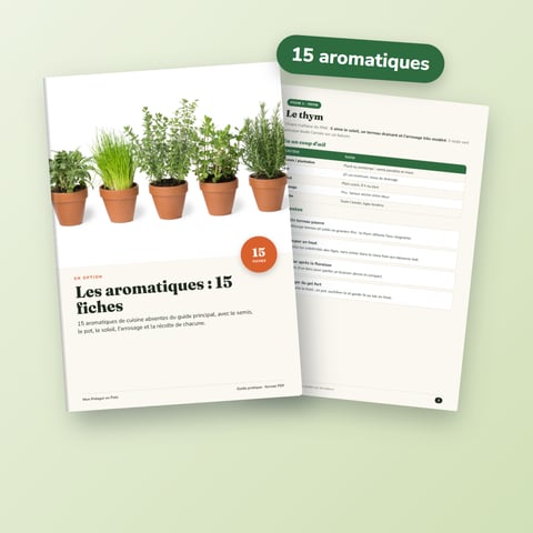 Les aromatiques : 15 fiches