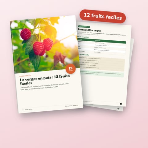 Le verger en pots : 12 fruits faciles