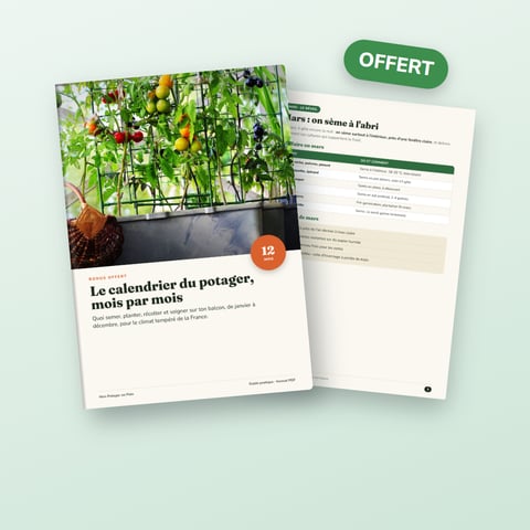 Le calendrier du potager, mois par mois