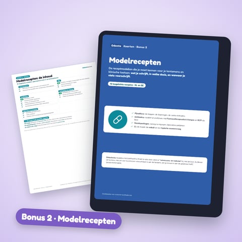 Bonus 2 — Modelrecepten