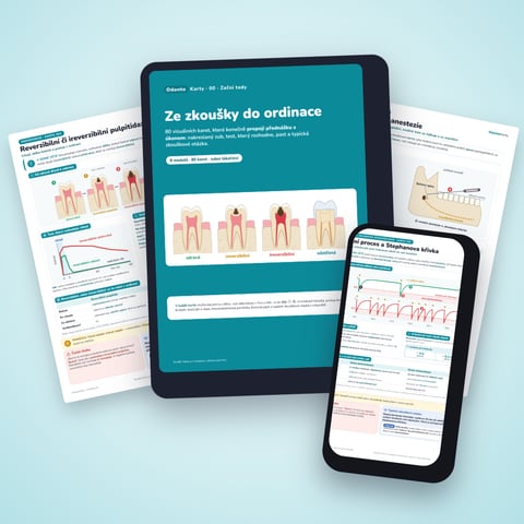 OdontoKarty – 80 karet zubního lékařství