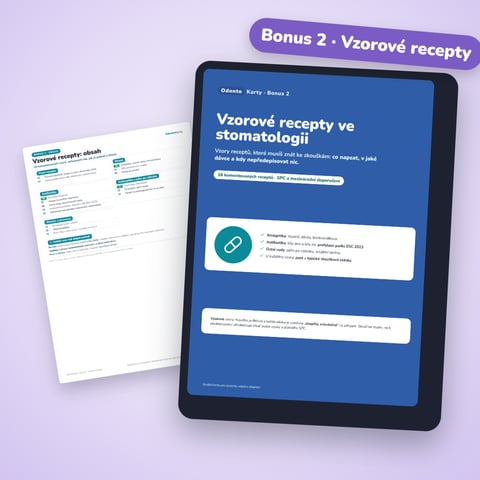 Bonus 2 · Vzorové recepty