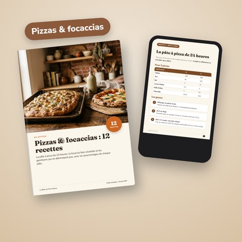 Pizzas & focaccias : 12 recettes