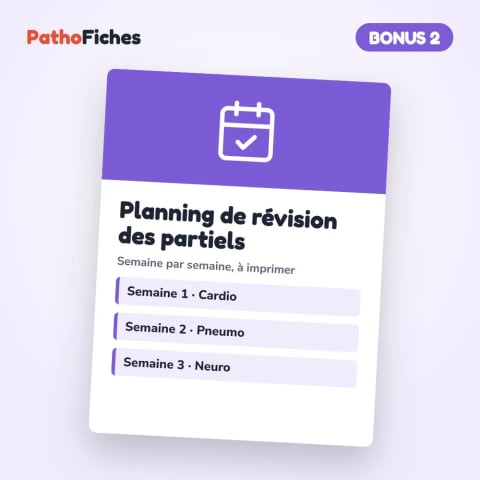 Bonus · Planning de révision des partiels