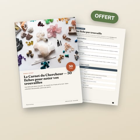 Le Carnet du Chercheur — 30 fiches pour noter vos trouvailles