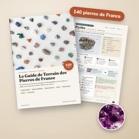 Le Guide de Terrain des Pierres de France — 140 pierres, cristaux et fossiles à reconnaître en 10 secondes