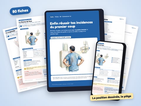 RadioFiches : 80 fiches visuelles