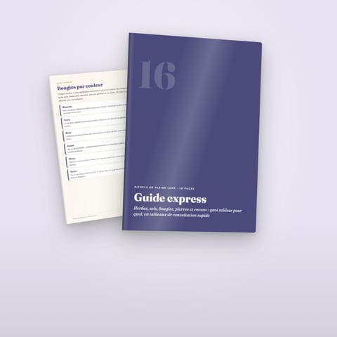 Guide express