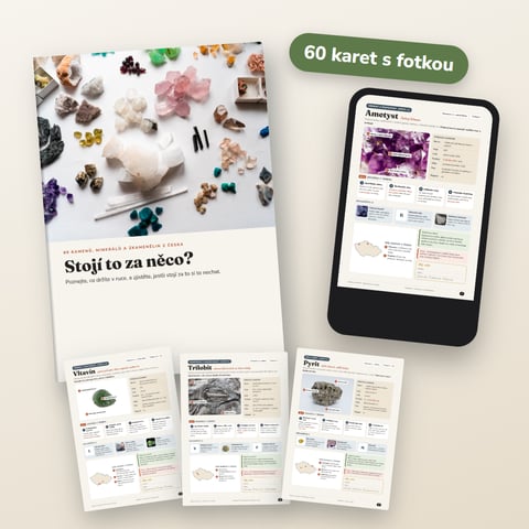 Stojí to za něco? Průvodce 60 kameny, minerály a zkamenělinami z Česka