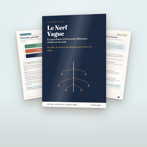 Le Nerf Vague : la synthèse de 12 livres